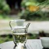 Canto Olla Vidrio Tetera Verde Resistente al Calor Engrosada Estilo Japonés Olla para Té Perfumado con Filtro Copa de Equidad Grande