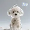 Colgante de Pelo de Mascota Cachorro Lindo Pelo Caja Transparente de Almacenamiento Llavero Colgante Creativo [Directo del Fabricante]