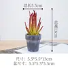 Planta suculenta de simulação em vaso personalidade simples decoração de casa em vaso decoração de interior imitação de bonsai realmente uma geração de cabelo