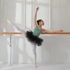 Falda de ballet para niños, falda de gasa esponjosa de princesa para niñas, ropa de baile, ropa de práctica para niñas, falda de malla de longitud media, Nuevo