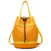 Bolso de Mano de Gran Capacidad para Viajes de Ocio al Aire Libre para Mujer Bolso de Hombro Simple con Pliegues Distintivos Bolso Cruzado tipo Cubo de Tela Oxford