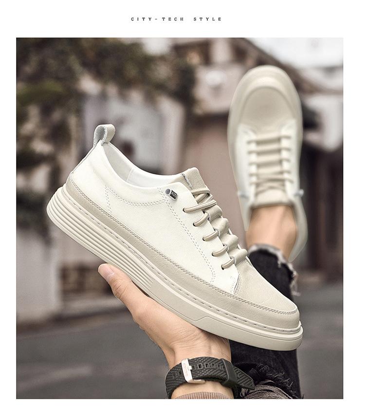 01-2_08.jpg?x-oss-process=image/format,png