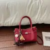 Bolso de Mano Pequeño Sencillo para Madre e Hijo Mujer 2026 Primavera Nuevo Estilo Moderno de Moda Estilo Callejero Bandolera Única Nicho Popular Bolso Cruzado