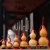 Adornos de Calabaza Natural Grande Preferidos para Adornos de Entrada de Sala de Estar Fabricante Venta al por Mayor