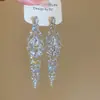 Brincos Longos Exagerados de Franja Gota d'Água com Zircônia Agulha de Prata para Mulheres Tendência Ins Luxo Acessível Brincos de Nicho Brincos Exagerados