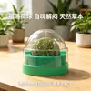 Palo Masticable para Gato, Bola de Menta Matatabi, Juguete para Gato, Palo para Provocar, Juguete Masticable Duradero, Suministros para Gatos, Snacks para Gatos