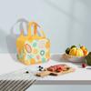 Bolsa de Almuerzo Térmica con Hielo de Papel de Aluminio Espesado con Frutas para Oficinistas, Lonchera Térmica para Estudiantes, Bolso de Mano, Bolsa Térmica