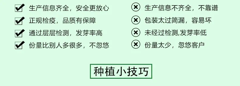 1_09.jpg