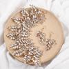 Carlo Jewelry L5069 Accesorios para Vestido de Novia Diadema de Pedrería de Lujo Hecha a Mano Tocados Nupciales Europeos y Americanos