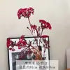 Biscoitos de arroz australianos flores artificiais, flores falsas de renda, decorações de flores plásticas, decoração suave temática de floresta para casamentos, populares para sessões de fotos em lojas da moda
