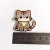 Nuevos Accesorios Acrílicos de Gato Estilo Ins Lindo Japonés y Coreano Pasador Decoración para Zapatos DIY Cachorro Acrílico Simple