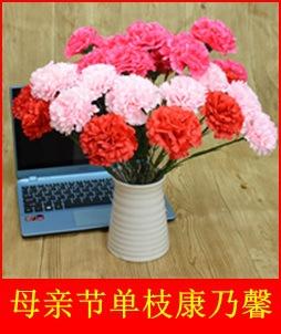 单枝康乃馨1