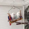 Suprimentos para pássaros transfronteiriços: brinquedos de papagaio de madeira, poleiro de macieira descascada, poleiro para dormir, brinquedo de roer, balanço para pássaros com corda de cânhamo para aliviar o tédio