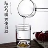 Cuchara de Vidrio con Mango Largo, Alto Borosilicato, Resistencia a Altas Temperaturas, Alta Apariencia, Cuchara Transparente para Condimentos de Cocina, Cucharilla de Café