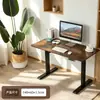 Escritorio Eléctrico Elevable para Casa, Sala de Estudio de Pie, Escritorio de Aprendizaje, Estación de Trabajo de Oficina Inteligente, Escritorio para Videojuegos E-sports En Stock