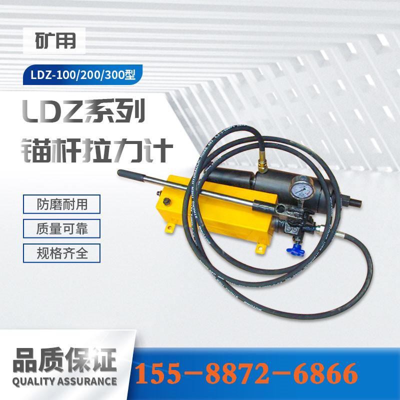 LDZ系列锚杆拉力计-