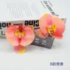 Filme Phalaenopsis Flor Pequena Alta Simulação Sentir Phalaenopsis Férias de Verão Processamento de Acessório de Cabeça DIY Chapéu de Formatura