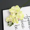 Conjunto de 5 Flores Artificiais Orquídea Borboleta de Filme Decoração Suave de Casa de Alta Qualidade Adereços Florais para Fotografia de Casamento Atacado de Flores Artificiais Transfronteiriço