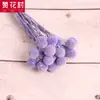 [Vila Zanhua] Yongsheng Flor Bola Dourada Flor Seca Yunnan Buquê Fruta Seca Planta Multicolorida Flor Seca Real Atacado