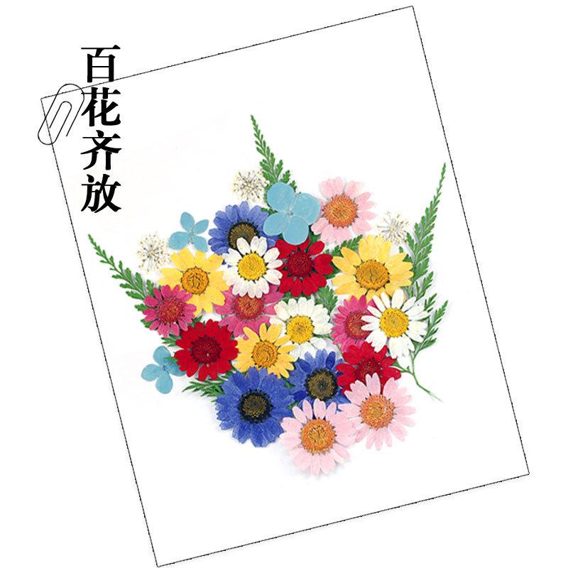 干花材料包-百花齐放.jpg