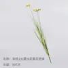 Simulação de Grama Cauda de Cachorro Hairy Cordyceps Flor de Renda Planta Verde Artificial Decoração Paisagem