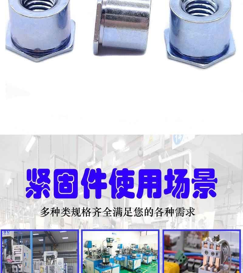 压铆螺母柱TSO_03
