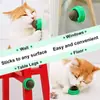 Catnip Natural Gato Bola de Parede Adesiva Brinquedo Arranhadores Petiscos Saudável Natural Remove Bolas