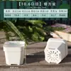 Maceta para Suculentas Extra Gruesa de Plástico Baja Blanca Cuadrada Mini Extra Grande Múltiples Especificaciones Control de Precisión para Plántulas Balcón Fiesta Plantación Maceta