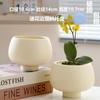 Amazon Transfronteiriço TEMU Novo Quente Vaso de Cerâmica Luxo Leve Alto Senso Phalaenopsis Casa Uma Peça