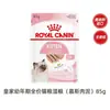 Royal Cat Comida Úmida Pacote para Filhote Sopa Mousse Carne Gel Lanche Lata Alimento Básico Pacote Macio Banquete Sensorial