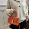 2024 Inverno Nova Moda Francesa Nicho Design Bolsa de Viagem Personalizada Este Ano Popular Bolsa Pequena Quadrada Crossbody