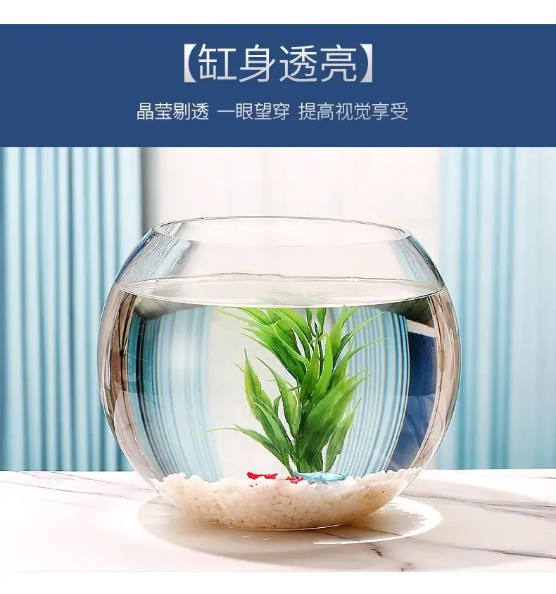 cd804a49-242a-406e-a7fa-e0d636d239ea.jpe