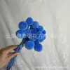 Flor Preservada Bola Dorada Decoración de Regalo Ramo de Flores Preservadas Jarrón DIY Martillo Dorado Flor Regalo del Día de la Madre Transfronterizo