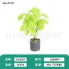 Planta Verde Artificial com 5 Galhos e 30 Folhas, Acessórios de Plantas para Decoração de Paisagismo Interno, Enfeites de Plantas em Vasos, Flores Artificiais para Atacado