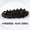 Modelo de loncha de cerdo y ternera fresca filete falso filete pierna de pollo ala de pollo abulón de cerdo juguete decorativo