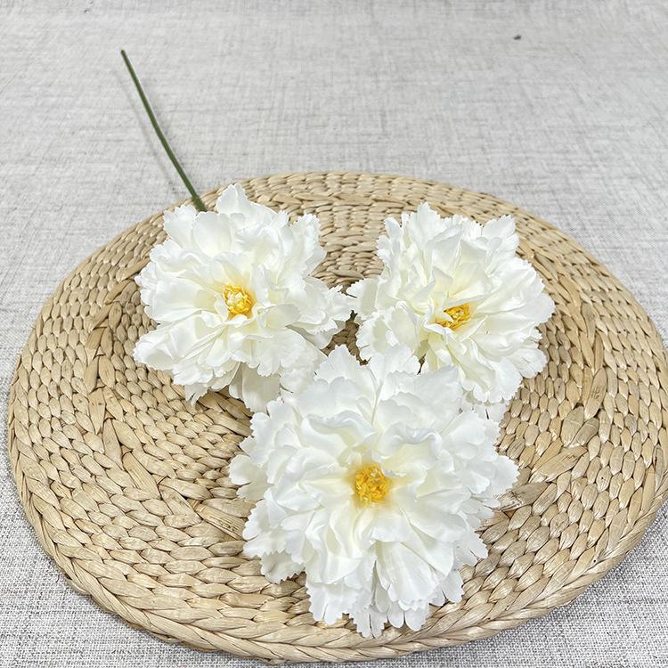 30# 新3头芙蓉花-sxxhx-白色.JPG
