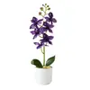 Flores Artificiales con 6 Flores y 3 Frutas, Planta en Maceta de Orquídea Phalaenopsis, Flor Artificial Creativa, Bonsái de Flor Simulada a la Moda, Adorno para Decoración del Hogar