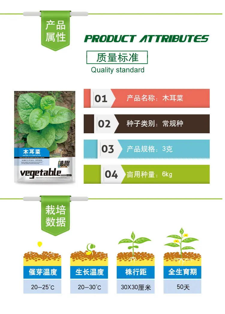 木耳菜