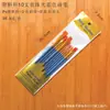 Amazon Haste de Plástico Pincel para Tinta a Óleo Pintura Artística Pincel para Aquarela Guache Conjunto de 10 Pincéis de Nylon para Tinta a Óleo