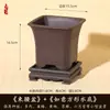 Maceta imitación flor de arena púrpura suculenta bola de cactus sur Tianzhu maceta especial para bonsái alto valor de color maceta de resina venta al por mayor