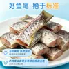 [Frete Grátis pela Sf Express] Cauda de Peixe Yanggan da Especialidade de Hubei, Cauda de Peixe Lótus Semi-Seca e Semi-Úmida, Produto Semi-Acabado para Atacado Comercial
