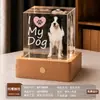 Bola de cristal creativa, luz de noche de madera maciza, lámpara ambiental de escritorio, decoración de mesita de noche, temática de mascotas gato y perro, regalo de recuerdo personalizable
