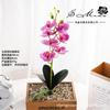 Nueva película de impresión 3D con fruta, 5 flores, orquídea mariposa, suministro directo de fábrica, planta, decoración de interiores, flores falsas