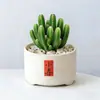 Conjunto fofo de plantas de interior para mesa para jardim de infância, fácil de cultivar e cuidar, pequenas plantas em vasos