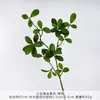 Hojas de gardenia artificiales, plantas verdes de madera de caballo, ramas de plantas verdes artificiales, ramas de árbol, productos terminados para decoración de bodas y arreglos florales