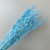 Yunnan eterno amante de flores fruta pequeno espinho aipo flor material diy buquê de flores secas ins decoração de casa arranjo de flores flutuante garrafa flor
