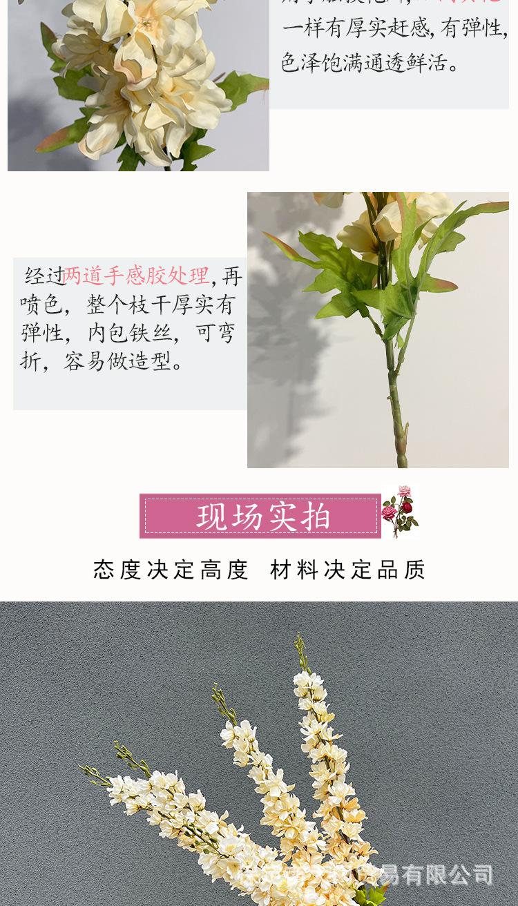 千代兰详情模板_05.jpg