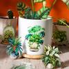 Serie Selva Tropical Pegatinas Día Hermoso planta en maceta cuenta de mano DIY pegatinas decorativas 30 piezas en 6 tipos