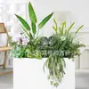 [Serie Chlorophytum Blanco Hy-Ax8] Planta de Flores Simuladas Paisajismo Jardín Paisaje Adornos Florales Decorativos Elegantes