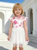 Nuevo Vestido de Verano 2026 para Niñas Estilo Europeo y Americano Cuello Redondo Estampado Chifón Manga Corta Vestido de Princesa